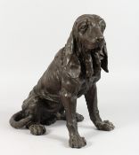 A BRONZE OF A SEATED BLOODHOUND. 14ins high.