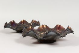 A PAIR OF VICTORIAN COLOURED GLASS CIRCULAR DISHES decorated with peacocks. 8.5ins diameter.