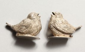 A TINY PAIR OF BIRD VESTAS.
