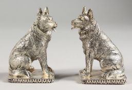 A PAIR OF .925 SILVER PLATE DOG SALT AND PEPPERS.