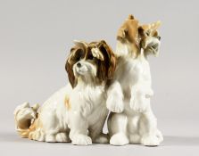 A CONTINENTAL PORCELAIN GROUP OF TWO DOGS. 6ins high.