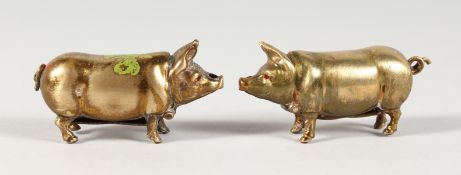 A SMALL PAIR OF VICTORIAN BRASS PIG VESTAS. 2ins long.