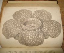 [JAVA] RAFFLES (Sophia) Memoirs of the Life...of Sir Thomas Stamford Raffles, 4to, portrait frontis,