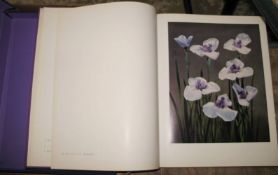 [BOTANY] The Japanese Iris: Its History, Varieties, and Cultivation. large folio, decorated cloth