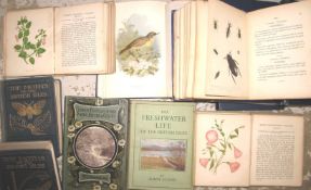 [NATURAL HISTORY] small q. misc. incl. SWAYSLAND, Familiar Wild Birds, 4 vols. (Q).
