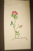 ARTWORK, an album of 1930's & 1940's original pen & watercolour work, mostly botanical.