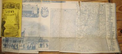 [AMERICANA] PHELPS (H.) The Lions of New York, being A Guide..., 8vo, text illus., lge folding plate