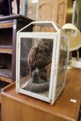 A stuffed and mounted owl in a display case.
