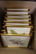 Botanical subjects, colour prints, a set of twelve uniformly framed and glazed.