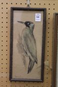 A watercolour sketch of a woodpecker.