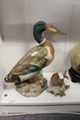A large painted pottery model of a mallard and a similar model of a bird.