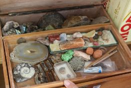 A box of mineral samples etc.