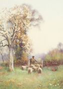 Benjamin Sigmund (1857-1947) British. A Shepherd and his Flock beneath Blossom, Watercolour, Signed.