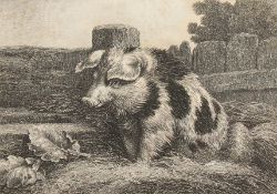 After Howett. An Engraving of a Pig in a Landscape, 4.5
