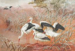 Harry Bright (1846-1895) British. Storks in a Landscape, Watercolour, Signed. 14