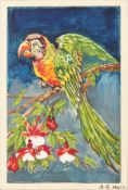 A.E. Hall. Parakeets and Birds of Paradise, a Set of Four Watercolours, 5.5