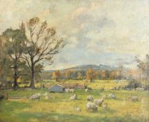 20th Century British School. Sheep Grazing in a Field with Hills beyond, Oil on Board,
