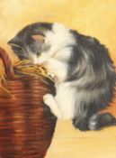 20th Century English School. Study of a Kitten Climbing on a Basket, Oil on Canvas, 16