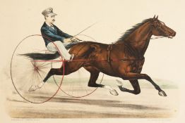 'St Julien'. A Scene of a Racing Horse and Carriage, a Print, Published by Currier & Ives, 11