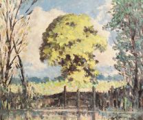 Hugh Boycott-Brown (1909-1990) British. Scene of Trees by a River, Oil on Board, Signed with