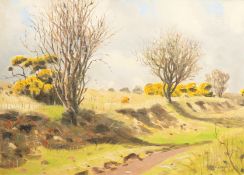 R. Haynes (20th Century) British. A Tree Lined Country Path, Oil on Board, Signed. 10