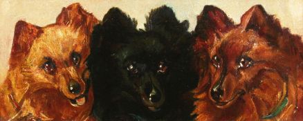 19th Century School. A Study of Three Dog's Heads, Oil on Canvas. 6