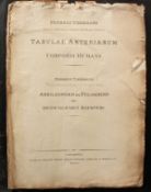 Friderich Tiedemann, Tabulae Arteriarum Corpus Humani.