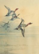 A Thorburn Print of Migrating Ducks, Signed in Pencil, 16