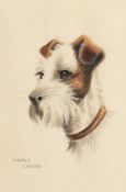 Mercy Creed, Circa 1920. Study of a Terrier, Pencil and Watercolour, Signed. 5