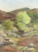 R. Potter, 20th Century. Reflections on a Lake with Trees in the Distance, Oil on Board, Signed, 14