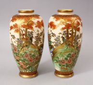A GOOD PAIR OF JAPANESE MEIJI PERIOD CERAMIC VASES, each vase upon a beige ground with typical