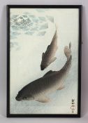 A GOOD EARLY - MID 20TH CENTURY JAPANESE WOODBLOCK PRINT OF SWIMMING CARP BY KOSON, framed 37cm x
