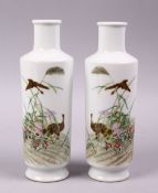A GOOD PAIR OF EARLY 20TH CENTURY CHINESE FAMILLE ROSE PORCELAIN VASES, decorated with birds in