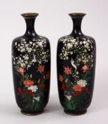 A PAIR OF JAPANESE MEIJI PERIOD CLOISONNE VASES, each with a scene of native flora with birds in