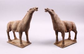 A GOOD PAIR OF CHINESE TANG / STYLE POTTERY HORSE FIGURES, both with heads aloft, the bases with