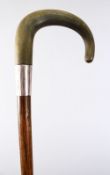A GOOD 19TH CENTURY RHINO HORN HANDLED WALKING CANE, with a silver hallmarked collar, 83cm high.