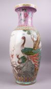 A LARGE CHINESE FAMILLE ROSE PORCELAIN PEACOCK VASE, with decoration of peacocks in landscapes