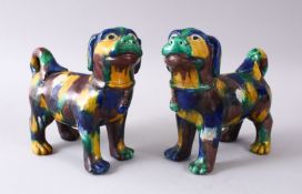 A GOOD PAIR OF 19TH / 20TH CENTURY SANCAI PORCELAIN DOGS, with egg and spinach coloured