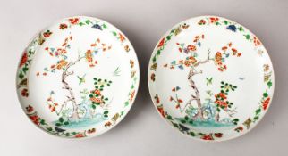 A GOOD PAIR OF CHINESE KANGXI STYLE FAMILLE VERTE PLATES, finely decorated with birds amongst native