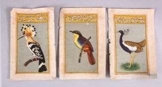 THREE GOOD 19TH / 20TH CENTURY INDO / PERSIAN MINIATURE PAINTINGS OF BIRDS, painted finely on