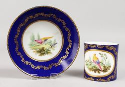 A GOOD SEVRES CUP AND SAUCER, rich blue ground painted with birds. Mark in blue, No, 2.