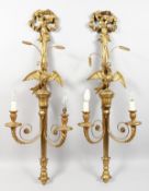 A GOOD PAIR OF CARVED AND GILDED WALL APPLIQUES, 20TH CENTURY, each with a pair of scrolling