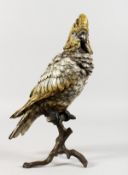 A VIENNA STYLE COLD PAINTED BRONZE OF A PARROT ON A BRANCH. 12ins high.