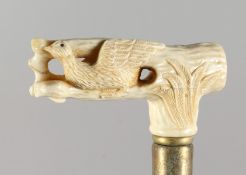 A WALKING STICK, the bone handle carved as a bird on a branch. 34ins long.