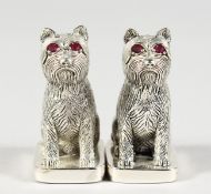 A PAIR OF .925 SILVER DOGS SALT AND PEPPER.