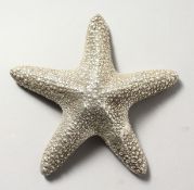A SILVER STARFISH.