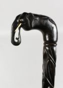 A CEYLONESE CARVED WALKING STICK, with elephant handle with tusks. 35ins long.