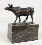 A SMALL BRONZE MODEL OF A COW, on a marble base. 6ins long.