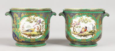 A GOOD PAIR OF 18TH CENTURY SEVRES JARDINIERES painted with panels of birds. 4.25ins diameter.