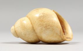 A CARVED BONE CONCH SHELL. 2.5ins long.